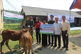 Trao 150 bò giống sinh sản cho hộ nghèo ở biên giới Thanh Hóa
